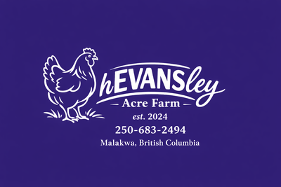 Easter Egger Chicks (Malakwa, BC), View more