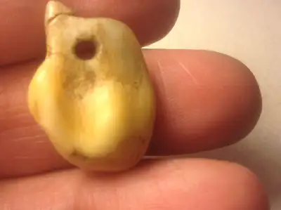 Old Elk Teeth