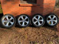 245/50 R20 Michelin Primary Tires - Toyota Venza