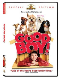 DVD Good Boy