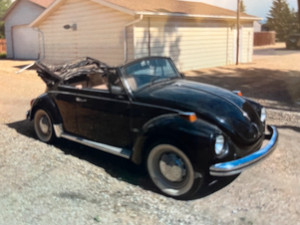 1971 Volkswagen Beetle