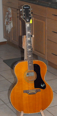 Epiphone FT-570BL Acoustic Guitar