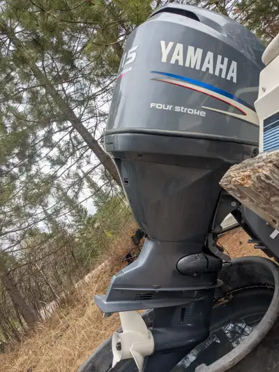 2011 Yamaha Motor with low hours in great condition with a 1988 16 ft Doral bowrider that requires i...