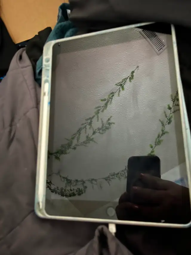 Gen 9 IPad w/ Apple Pencil - Brand New Out of Box Condition in iPads & Tablets in Winnipeg - Image 3