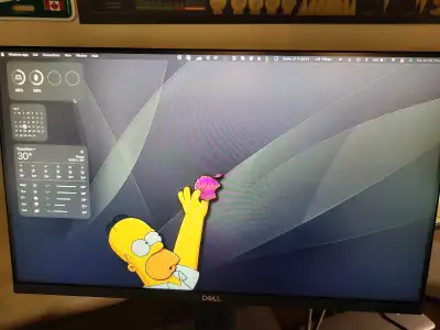 Dell 22 inch Monitor, View more