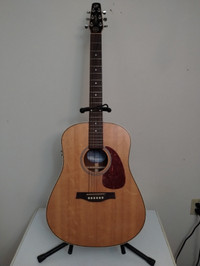 Seagull electric/acoustic solid wood series guitar