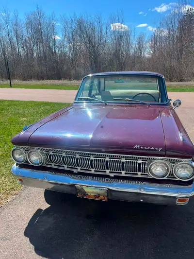 4 Door 5 Liter V8 Engine 4 New tires Rebuilt Gas tank , floor and trunk New Classic wipers Safety ch...