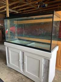 90 gallon aquarium for sale