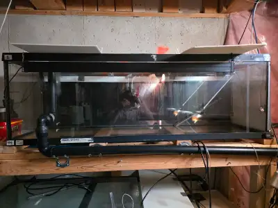 Fish Tanks  for free , View more