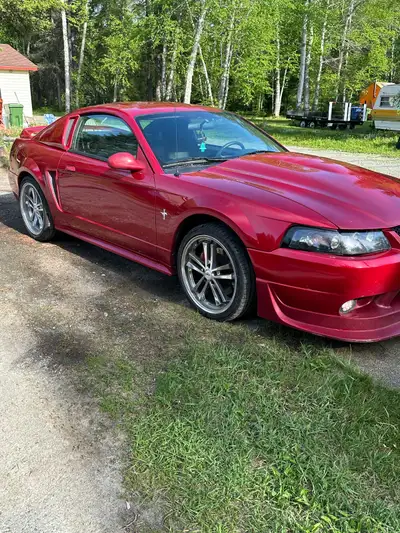 Mustang 2000