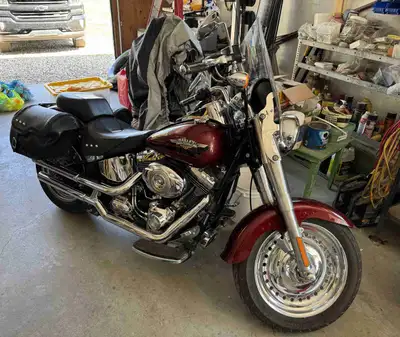Well taken care of Harley Softail Fatboy Always stored indoors 11,500 km 96 cubic inch engine 6 spee...