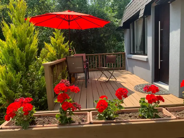 3BR Cottage for rent on lake Simcoe 1 hour drive from Toronto in Ontario in Canada - Image 9