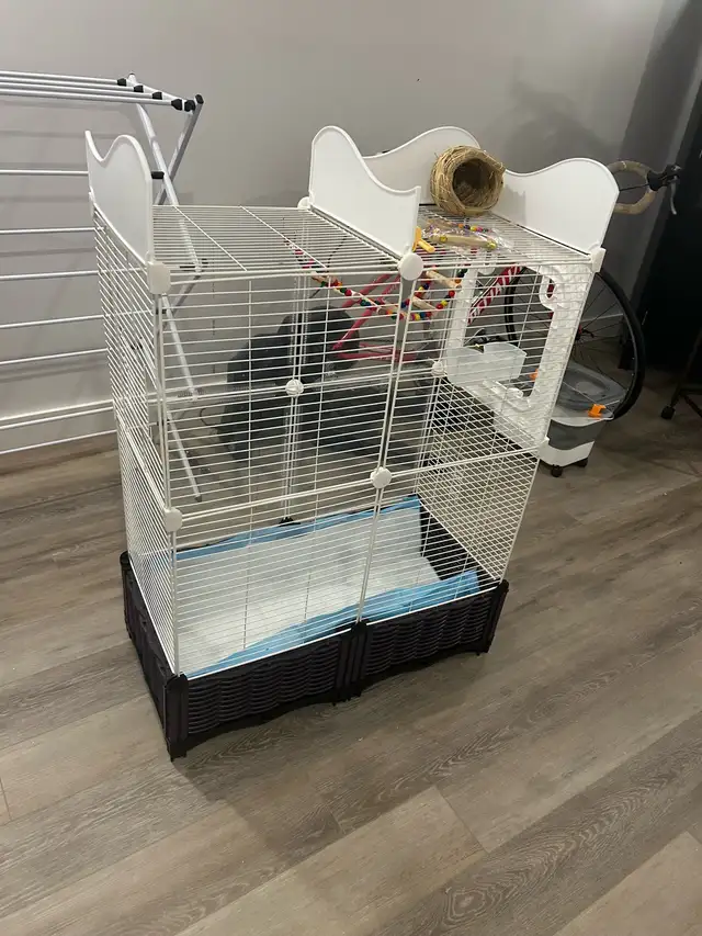 cage perroquet ‼️ urgent ‼️ négociable in Accessories in Lanaudière - Image 5