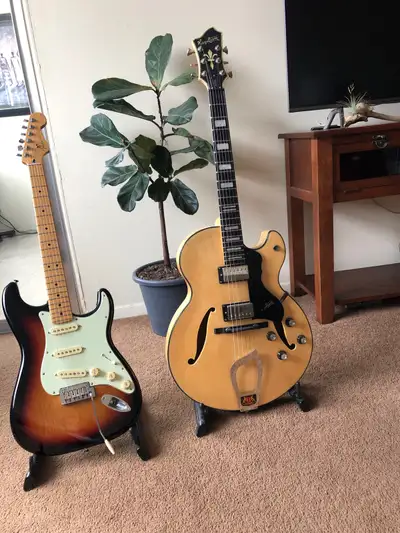 Guitars for trade, View more