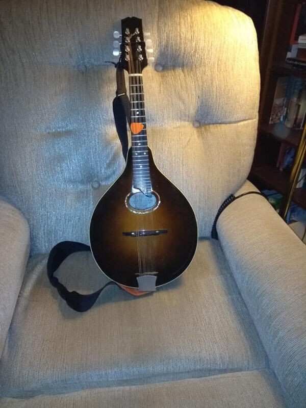 old wave mandolin for sale  