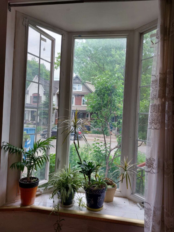 High Park Apartment for rent Long Term Rentals City of Toronto Kijiji