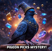 Pigeon Picks! Crystal Mystery Bag!
