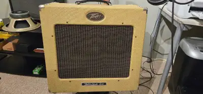 These amps are rare and getting harder to find. Not many listed. The Peavey Delta Blues 2x10 is a 30...