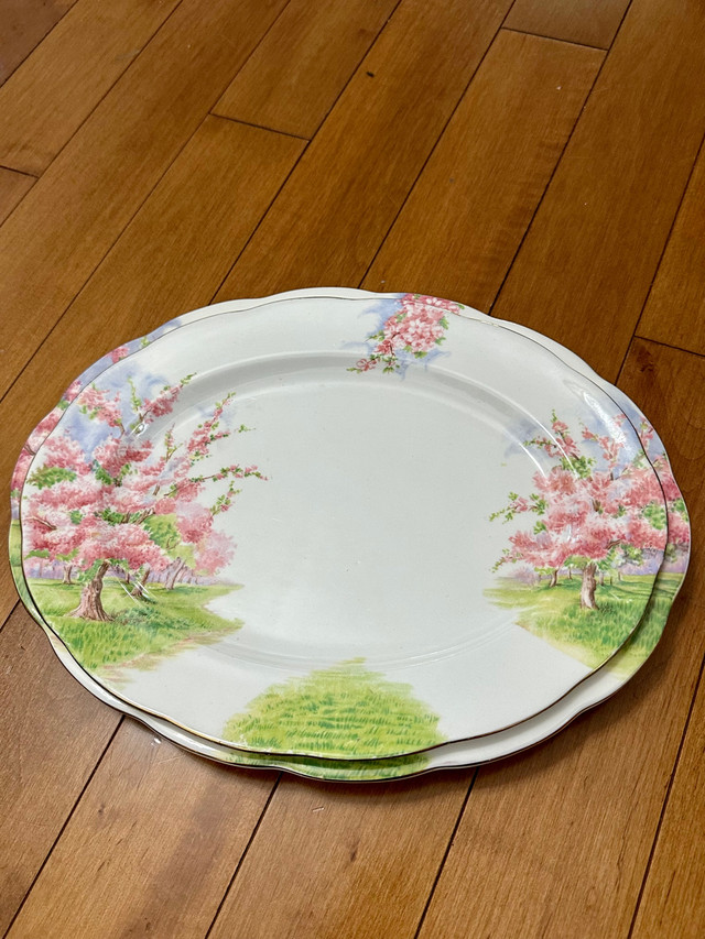 Vintage discontinued England Bone China Blossom Time Royal Alber in Kitchen & Dining Wares in Windsor Region