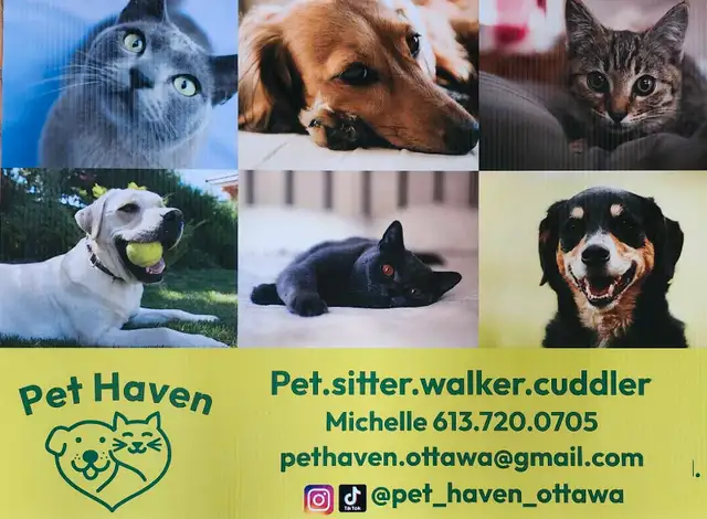 pet sitter/dog walker in Animal & Pet Services in Ottawa - Image 2