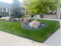 Landscaping, Patio, Sod, Artificial grass