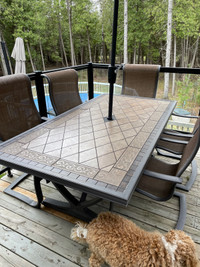 Solid beautiful picnic table+ 6 tall comfortable chairs 