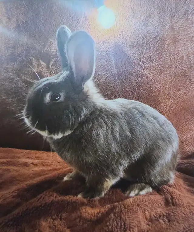 Milo!!!!417010697990973440