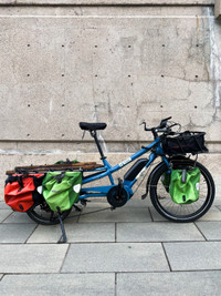Yuba Spicy Curry electric cargo bicycle