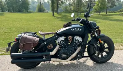 I am selling the seat, the front fork, tool bag, and the tank bag, not selling the saddle bag, but i...