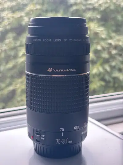 Canon EF 75-300mm Zoom Lens, View more