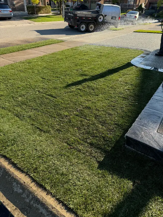 SOD INSTALL - NEW GRASS!63008305251073123