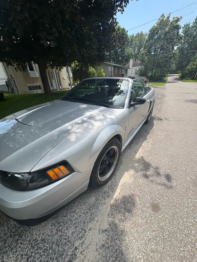 For Sell- must go fast 496314828457267202