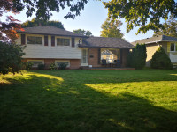 Renovated House for Rent in Sarnia North End