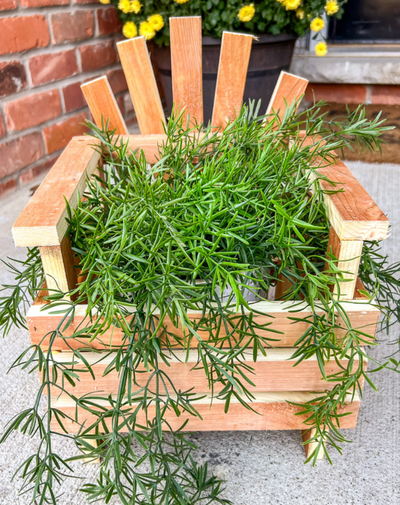 Jolie Jardinieres de style chaise Adirondack, View more