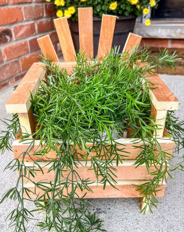 Jolie Jardinieres de style chaise Adirondack dans Mobilier pour terrasse et jardin  à Ville de Montréal