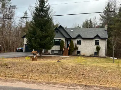 Bright & Spacious Basement Apartment for Rent
