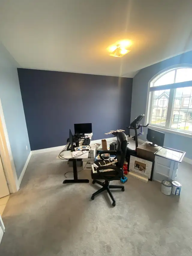 PROFESSIONAL, AFFORDABLE PAINTER489527857266698243