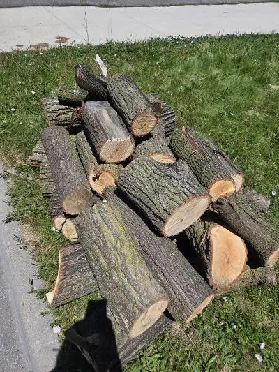 Free Firewood in Brampton, View more