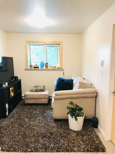 Beautiful bright room for rent, looking for clean and quiet roommate, newly renovated and furnished...