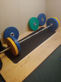 Gym Barbells and dumbbells and plates