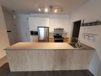 Charming 1-Bedroom Condo in Point St Charles