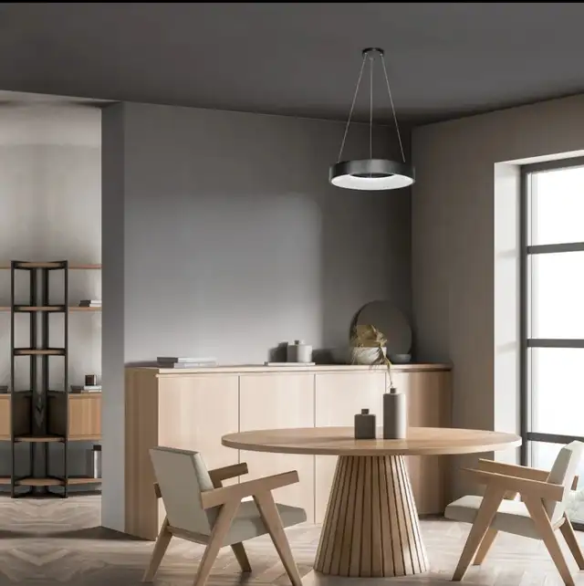 LED Circular Pendant Light Fixture in Matte Black in Indoor Lighting & Fans in Mississauga / Peel Region - Image 3