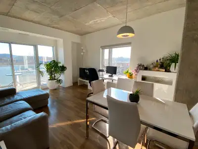 Superbe 3 1/2 lumineux à louer Rosemont (Promenade Masson)