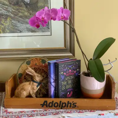 Vintage Store Advertising Shelf Adolph’s Meat Tenderizers , View more