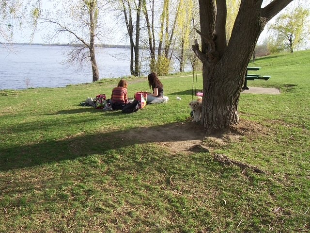 VERDUN OUEST 41/2 DEVANT fleuve et piste cyclable — photo 1