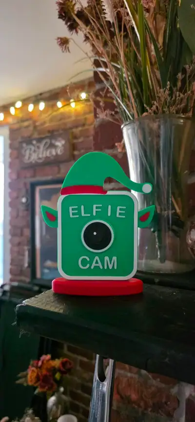 Elf Cam Decor, View more