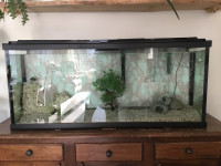 Aquarium 55 gallons