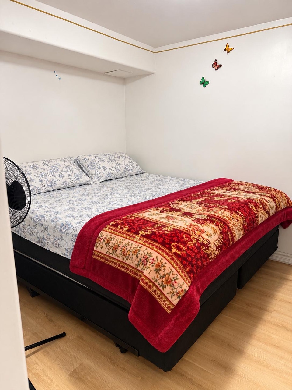 One bedroom basement available for rent from Nov 1,2026 3