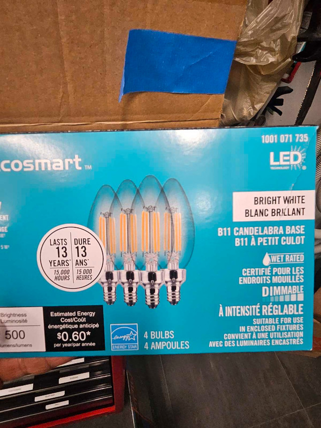 Ecosmart led chandelier light bulbs in Indoor Lighting & Fans in Markham / York Region