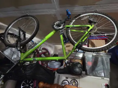 The bike is in good shape. Needs a peddle bolt and small bracket due to hitting curb. Dont want to f...